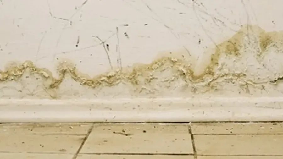 A water stain running along a wall and baseboard after flooding