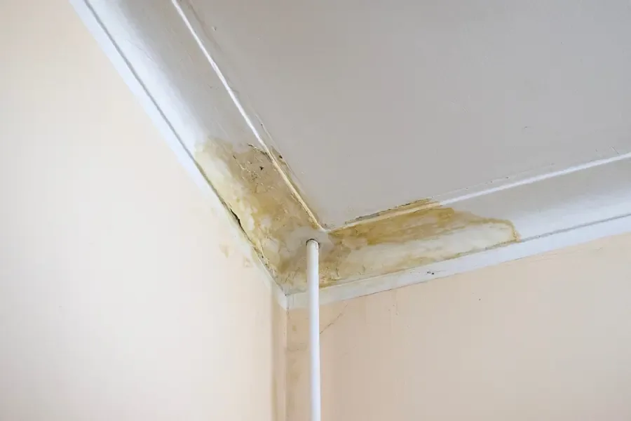 A brown water stain spreading across a ceiling