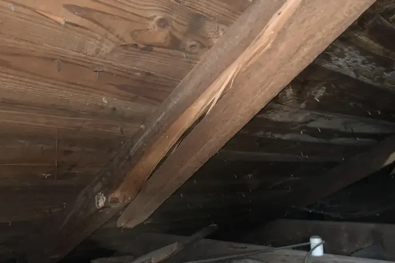 Water-stained roof boards and rafters inside an attic after a roof leak