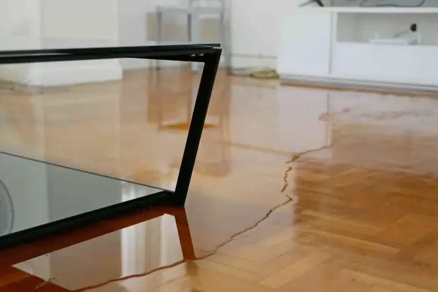 Water seeping up along a crack line across a parquet floor